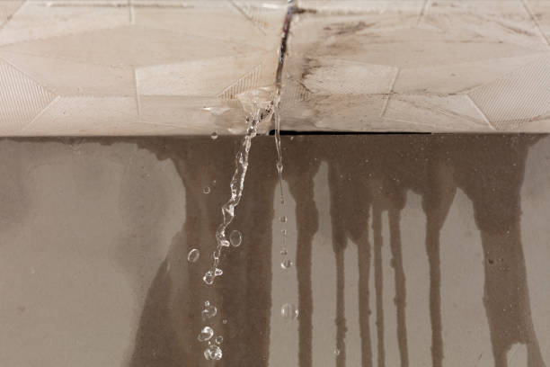 Professional Burst Pipe Cleanup technician working in Quincy, FL